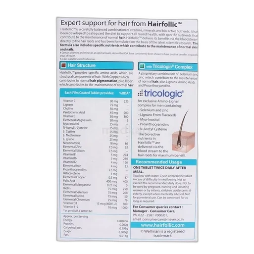 wellman hairfollic tablet 10's
